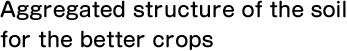 Aggregated structure of the soil for the better crops