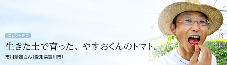 生きた土で育った、 やすおくんのトマト。　市川靖雄さん（愛知県豊川市）