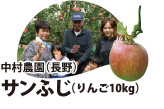 サンふじ（りんご10kg）