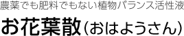 農薬でも肥料でもない植物バランス活性液 お花葉散（おはようさん）