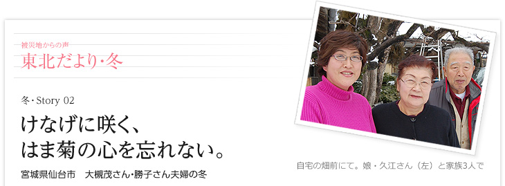 けなげに咲く、はま菊の心を忘れない。　宮城県仙台市　大槻茂さん・勝子さん夫婦の冬